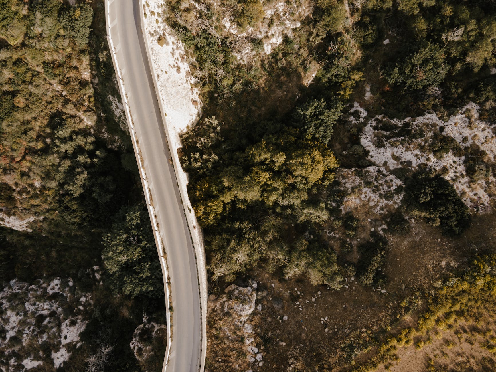 vue aérienne de la route grise entre les arbres verts